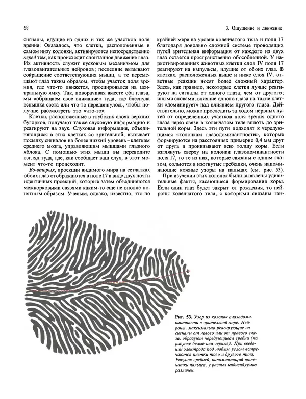 Флойд Блум - Мозг, разум и поведение - Страница № 69