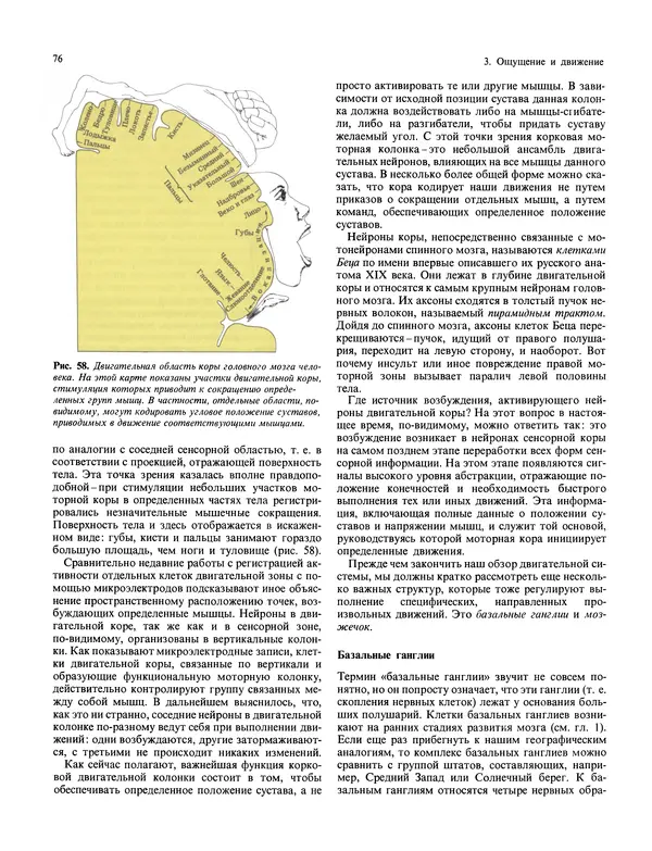 Флойд Блум - Мозг, разум и поведение - Страница № 77