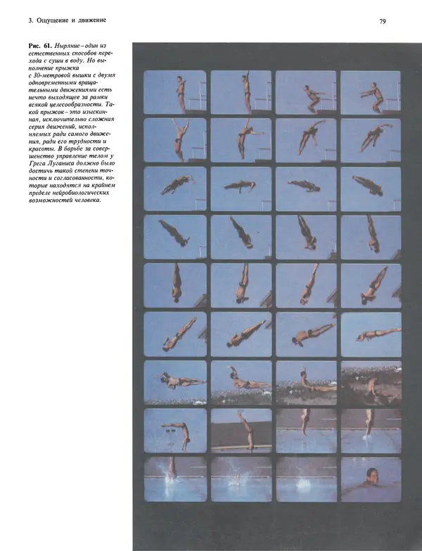 Флойд Блум - Мозг, разум и поведение - Страница № 80