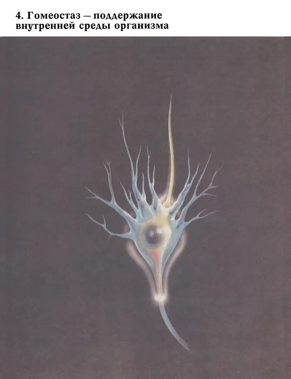 Флойд Блум - Мозг, разум и поведение - Страница № 82