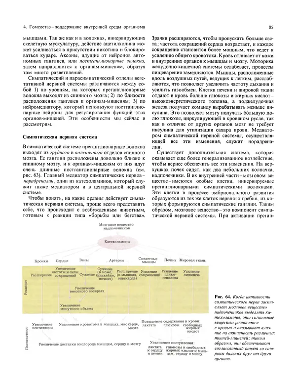 Флойд Блум - Мозг, разум и поведение - Страница № 86
