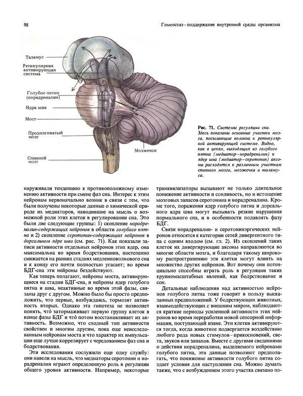 Флойд Блум - Мозг, разум и поведение - Страница № 99