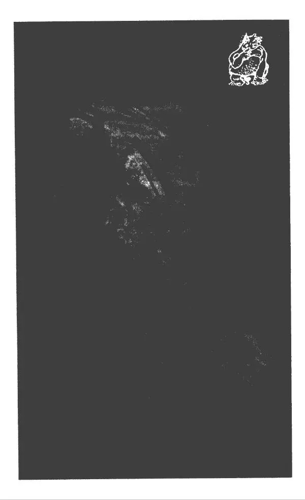 Евгений Замятин - Замятин Евгений - Страница № 190