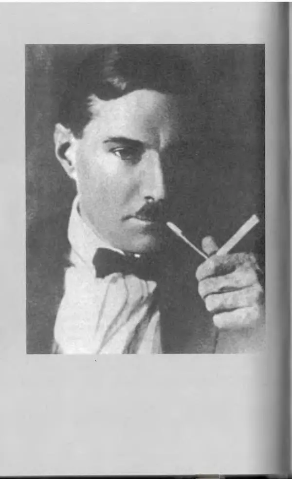 Евгений Замятин - Замятин Евгений - Страница № 204