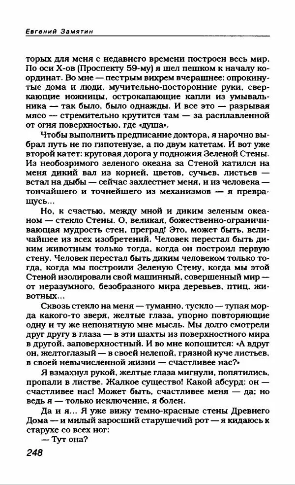 Евгений Замятин - Замятин Евгений - Страница № 260