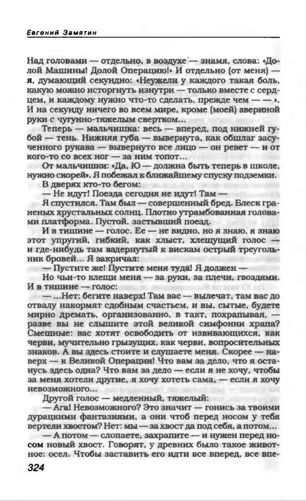 Евгений Замятин - Замятин Евгений - Страница № 336