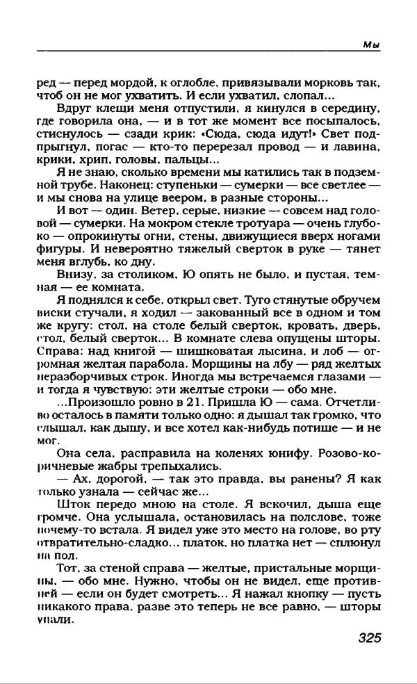 Евгений Замятин - Замятин Евгений - Страница № 337