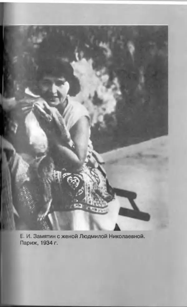 Евгений Замятин - Замятин Евгений - Страница № 433