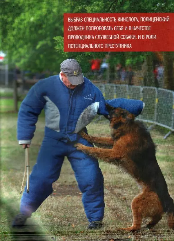  журнал Полицейские машины мира - Alfa Romeo 156. Полиция Бельгии - Страница № 13