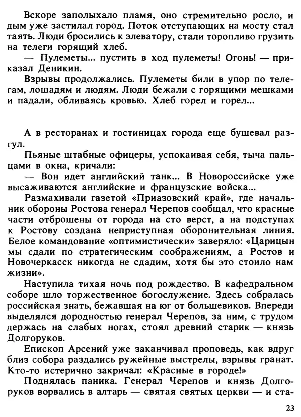 Александр Поляков - Диверсия под флагом помощи - Страница № 25
