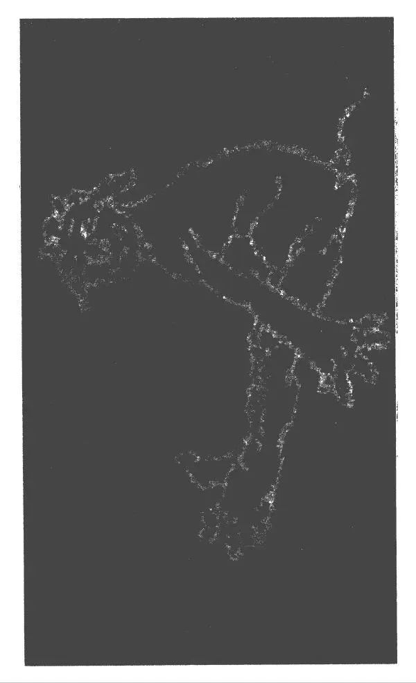 Саша Черный - Саша Чёрный - Страница № 32