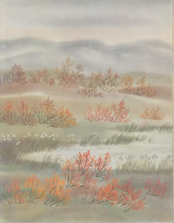  Автор неизвестен - Народные сказки - Хочу кочевать — не хочу кочевать. Чукотская сказка - Страница № 2