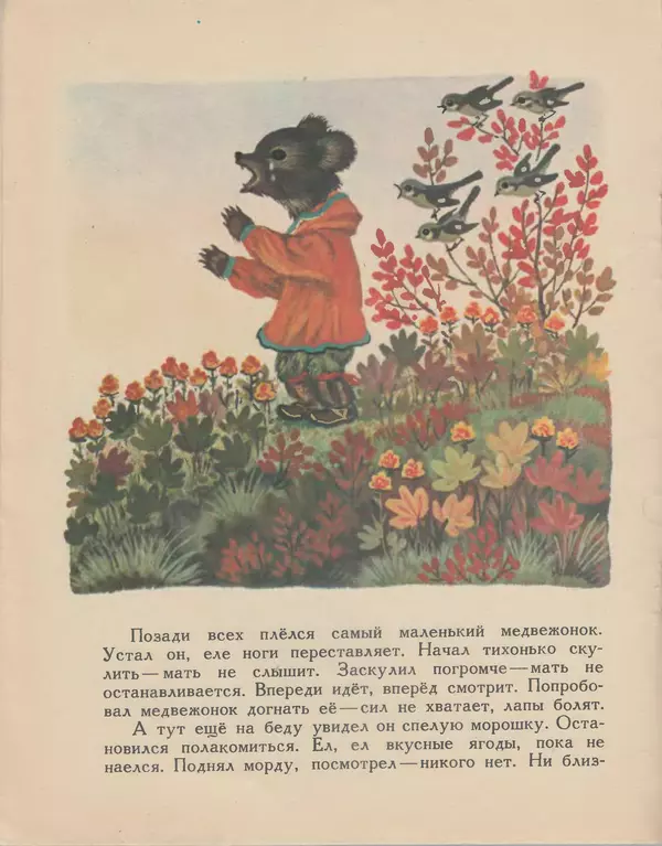  Автор неизвестен - Народные сказки - Хочу кочевать — не хочу кочевать. Чукотская сказка - Страница № 6