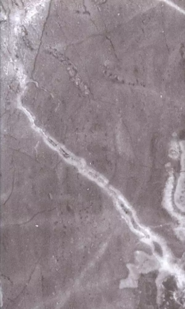 П. Бермондт-Авалов - В борьбе с большевизмом. Книга 2 - Страница № 2