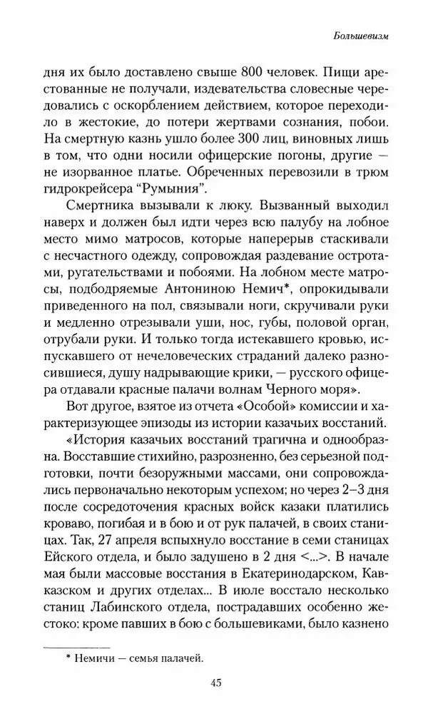 П. Бермондт-Авалов - В борьбе с большевизмом. Книга 2 - Страница № 46