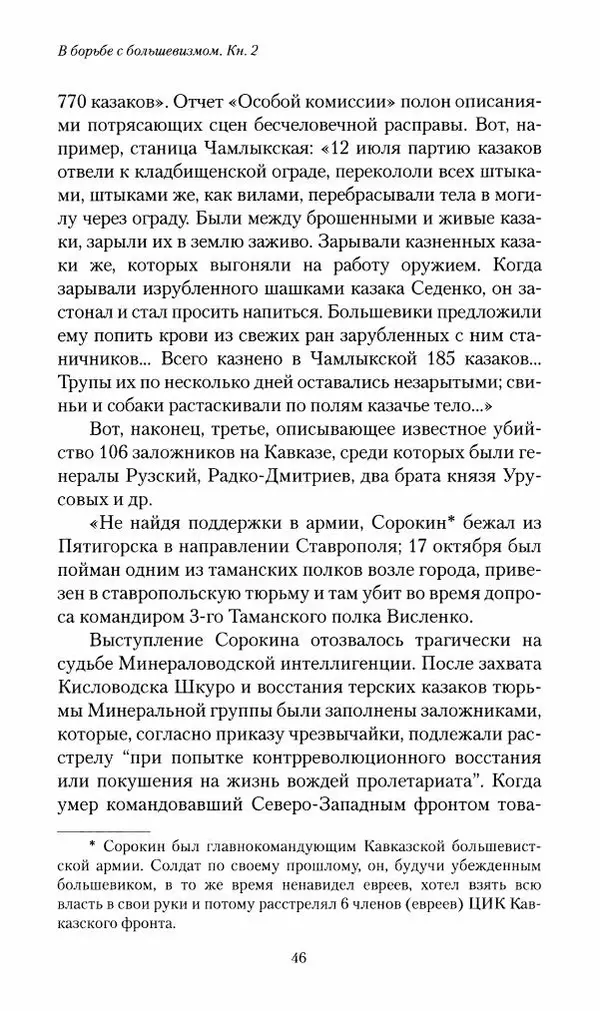 П. Бермондт-Авалов - В борьбе с большевизмом. Книга 2 - Страница № 47