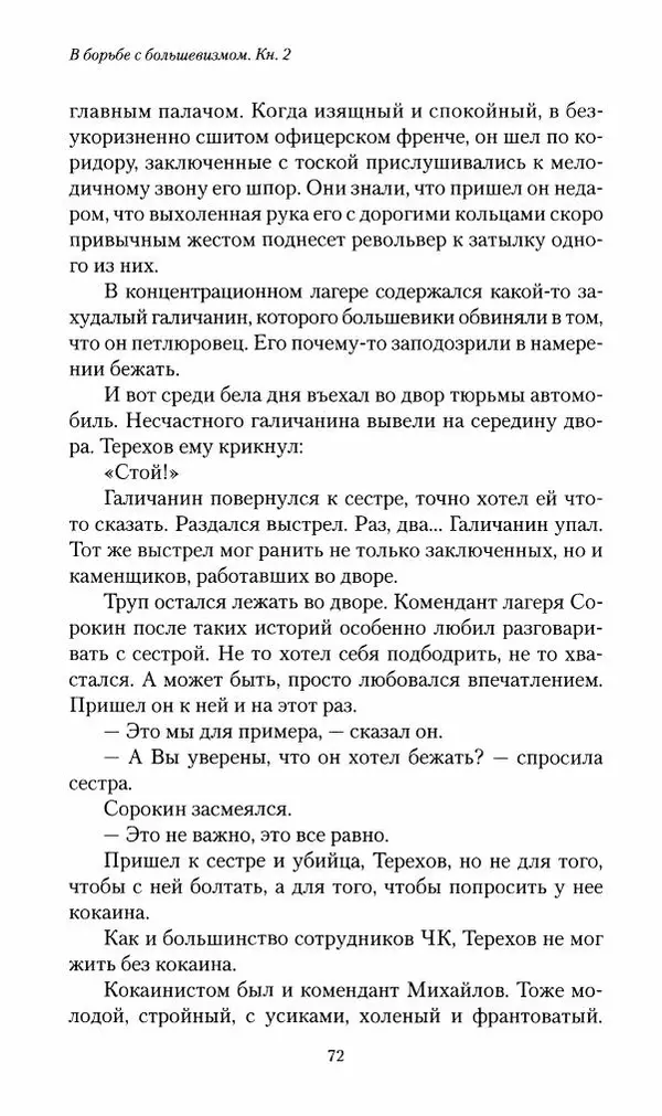 П. Бермондт-Авалов - В борьбе с большевизмом. Книга 2 - Страница № 73