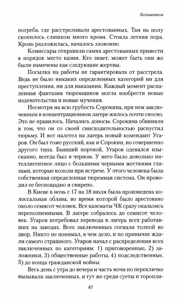 П. Бермондт-Авалов - В борьбе с большевизмом. Книга 2 - Страница № 88
