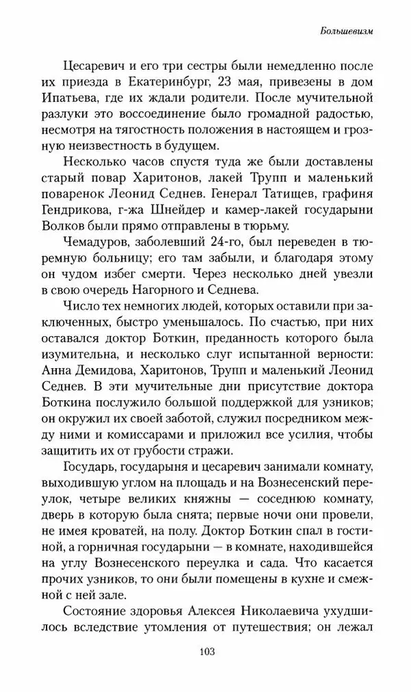 П. Бермондт-Авалов - В борьбе с большевизмом. Книга 2 - Страница № 104
