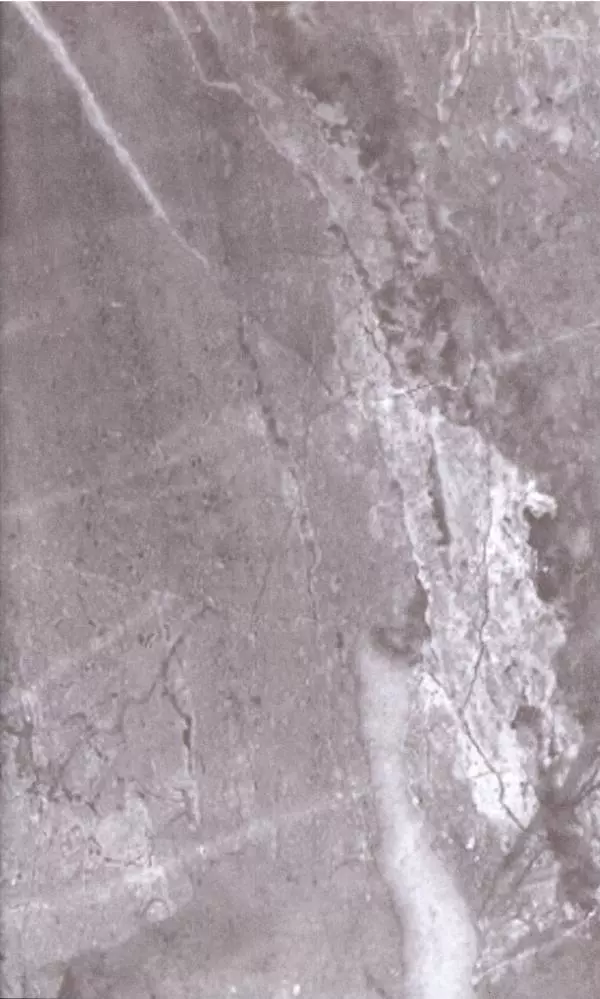 П. Бермондт-Авалов - В борьбе с большевизмом. Книга 2 - Страница № 546