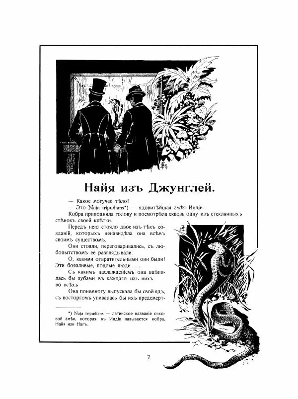 Георгий Гасенко - Найя из джунглей - Страница № 7
