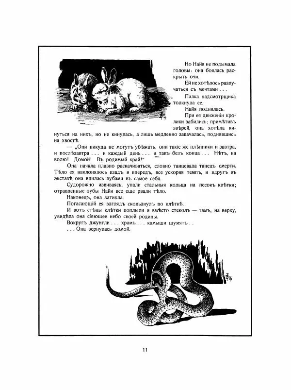 Георгий Гасенко - Найя из джунглей - Страница № 12