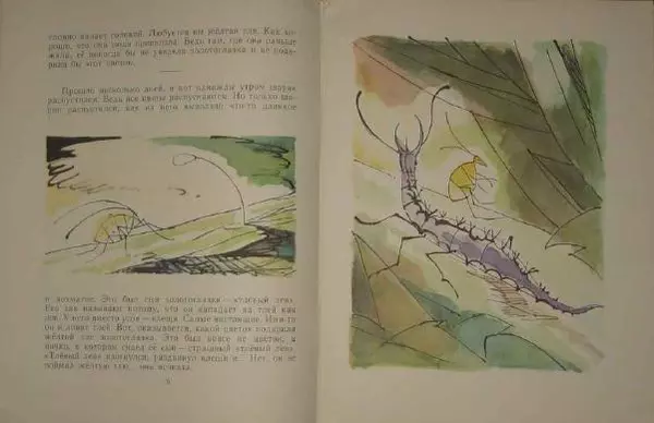 Наталья Романова - На зелёной иголке - Страница № 5