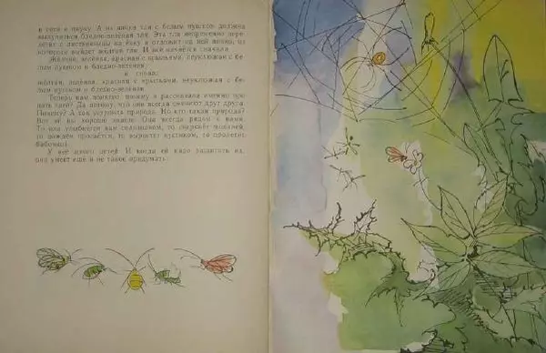 Наталья Романова - На зелёной иголке - Страница № 13