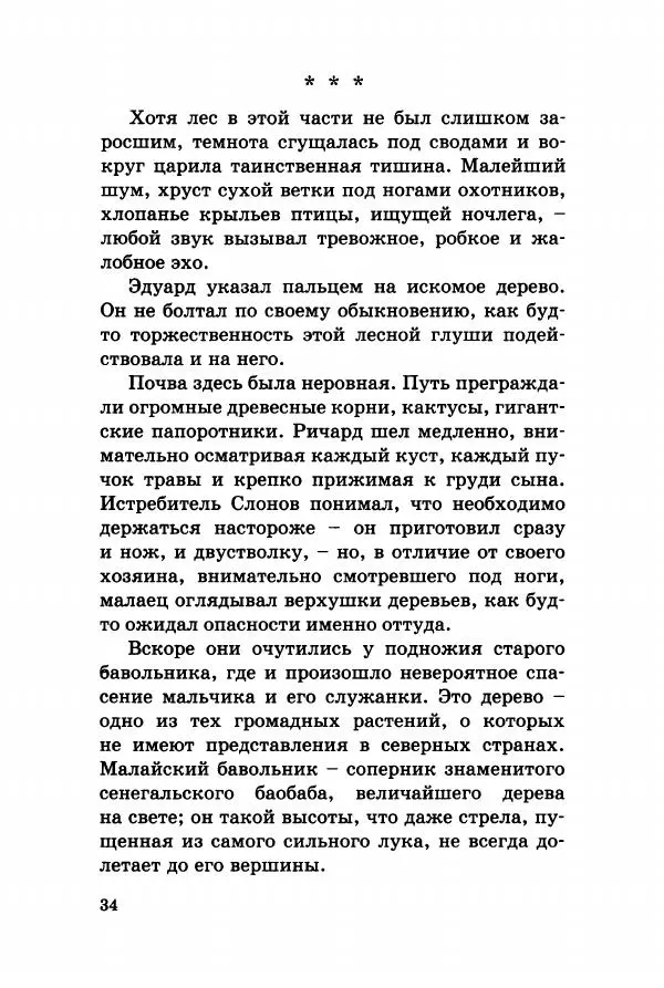 Эли Бертэ - Дитя лесов - Страница № 39