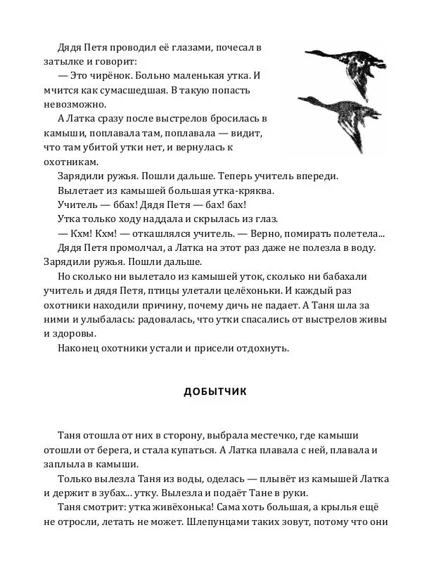 Виталий Бианки - Латка   - Страница № 11