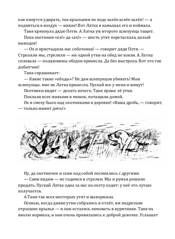 Виталий Бианки - Латка   - Страница № 12