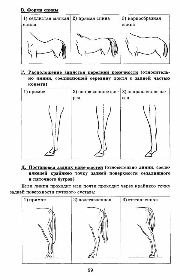 Николай Богданов - ОГЭ 2018. Биология. 14 вариантов. Типовые тестовые задания от разработчиков ОГЭ - Страница № 100