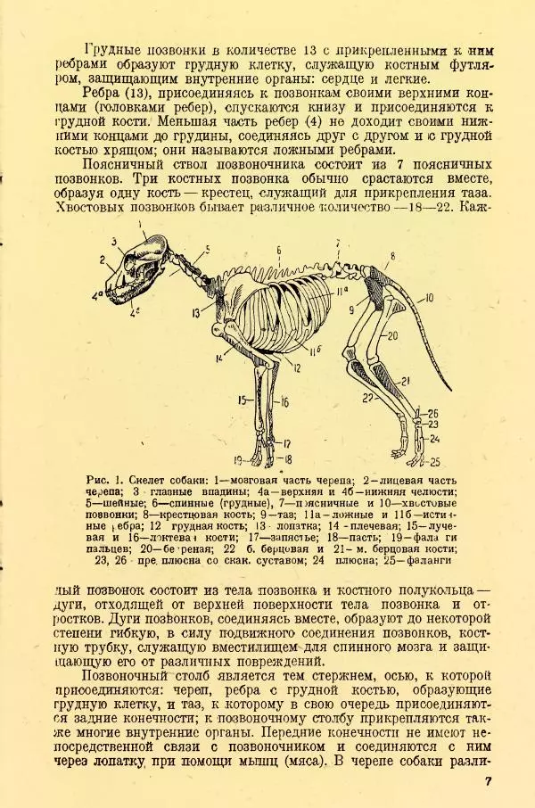 А. Немцов - Руководство по служебному собаководству в сельком хозяйстве - Страница № 9