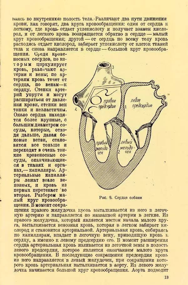 А. Немцов - Руководство по служебному собаководству в сельком хозяйстве - Страница № 15