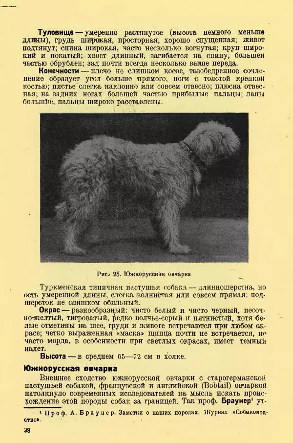 А. Немцов - Руководство по служебному собаководству в сельком хозяйстве - Страница № 40