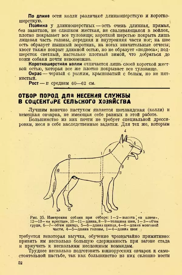 А. Немцов - Руководство по служебному собаководству в сельком хозяйстве - Страница № 54