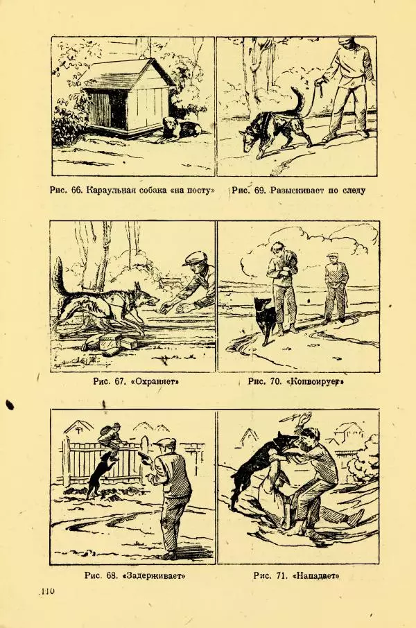 А. Немцов - Руководство по служебному собаководству в сельком хозяйстве - Страница № 112