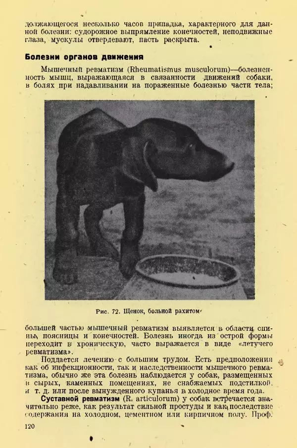 А. Немцов - Руководство по служебному собаководству в сельком хозяйстве - Страница № 122