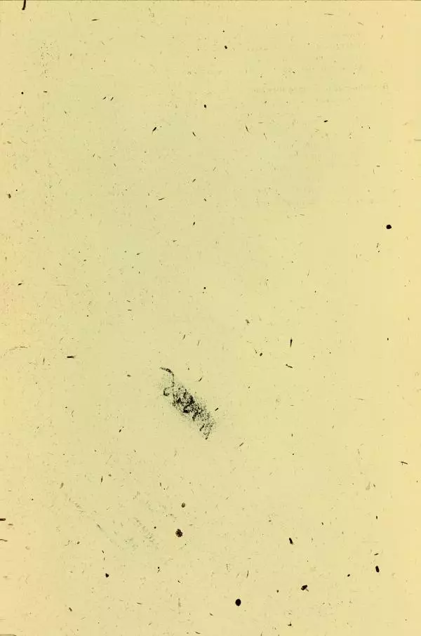 А. Немцов - Руководство по служебному собаководству в сельком хозяйстве - Страница № 130