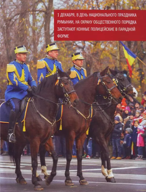  журнал Полицейские машины мира - Dacia 1310. Полиция Румынии - Страница № 13