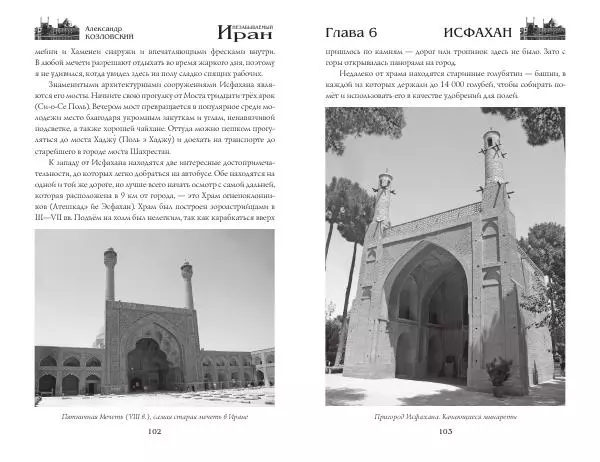 Александр Козловский - Незабываемый Иран - Страница № 53