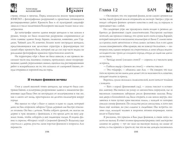 Александр Козловский - Незабываемый Иран - Страница № 99