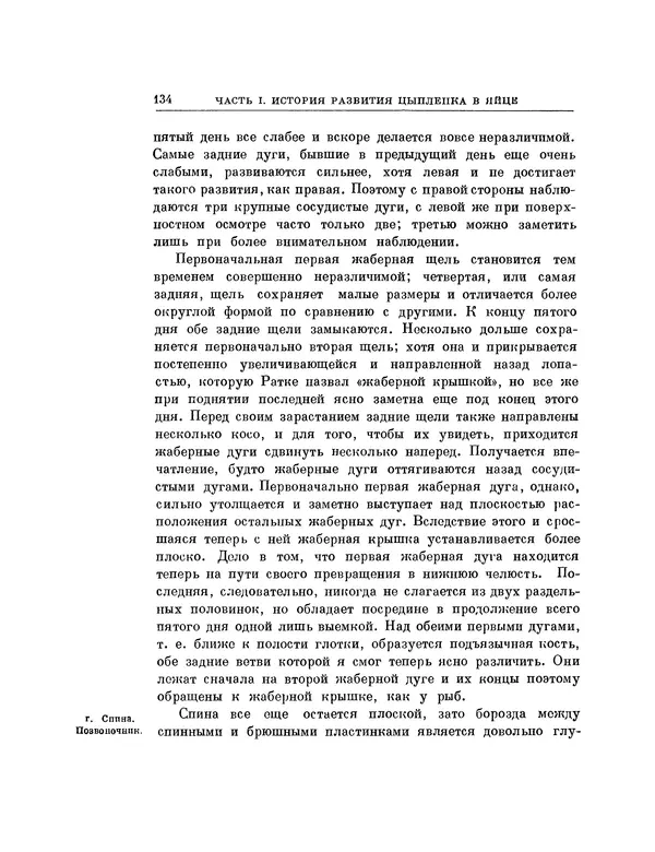 Карл фон Бэр - История развития животных. Наблюдения и размышления. Том 1 - Страница № 135