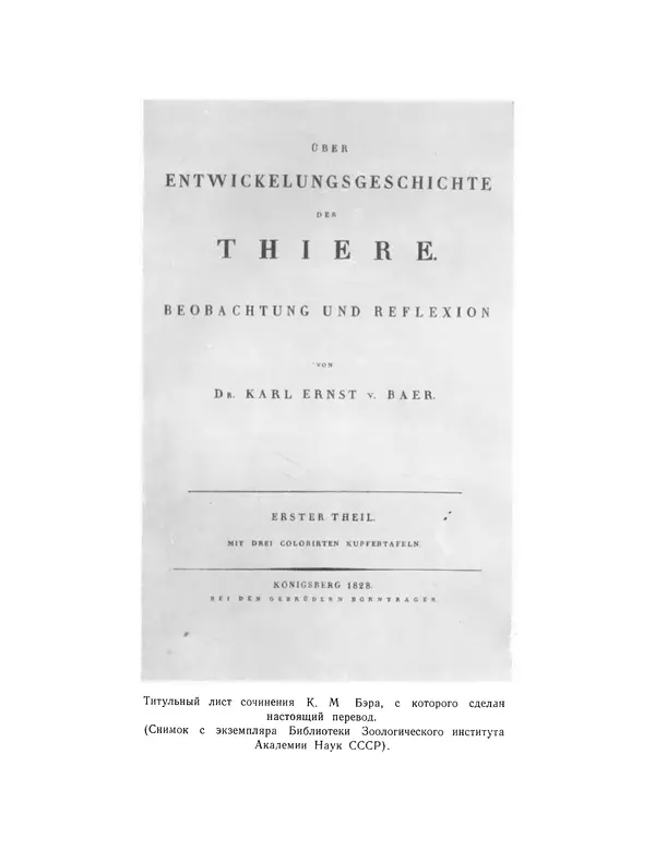 Карл фон Бэр - История развития животных. Наблюдения и размышления. Том 1 - Страница № 386
