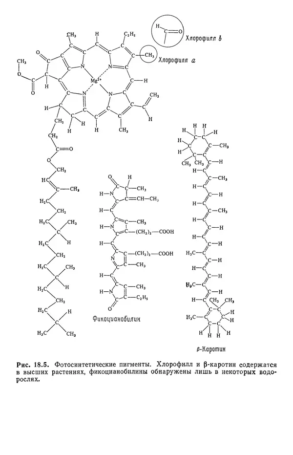 Реймонд Чанг - Физическая химия с приложениями к биологическим системам - Страница № 532