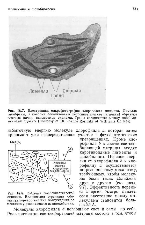 Реймонд Чанг - Физическая химия с приложениями к биологическим системам - Страница № 534