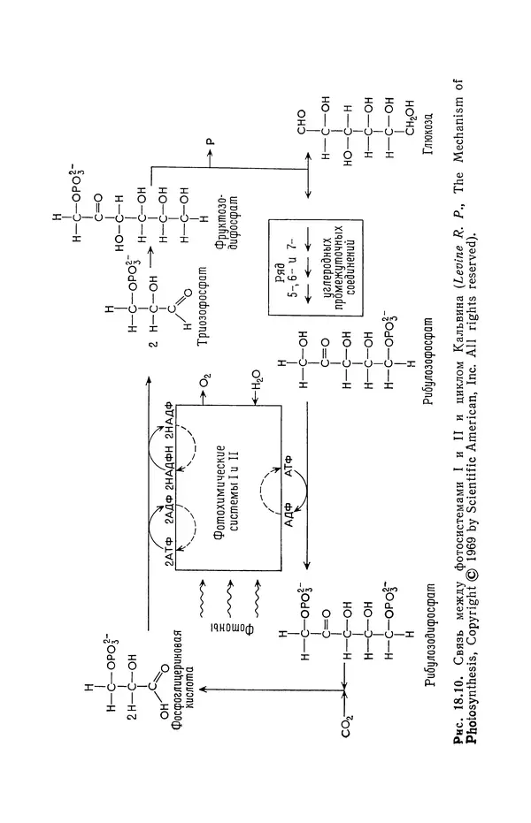 Реймонд Чанг - Физическая химия с приложениями к биологическим системам - Страница № 538