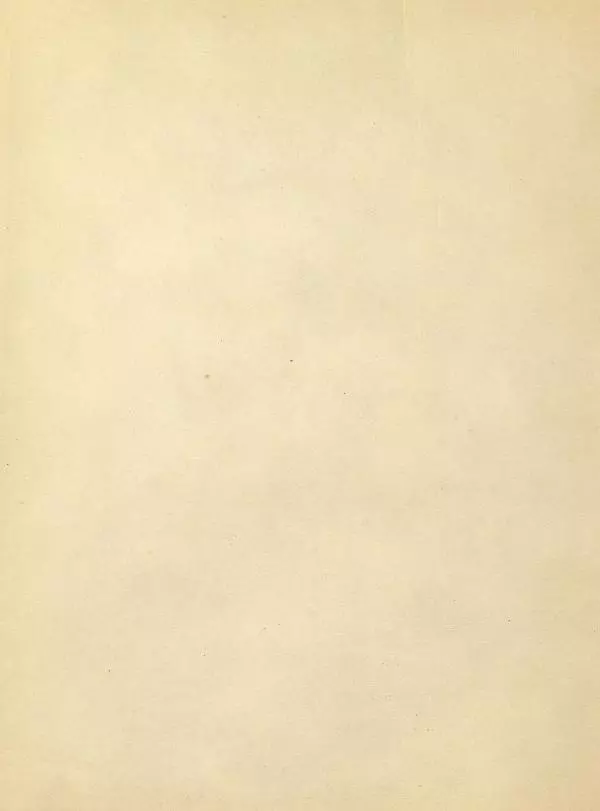 Евгений Чарушин - Детки в клетке - Страница № 3