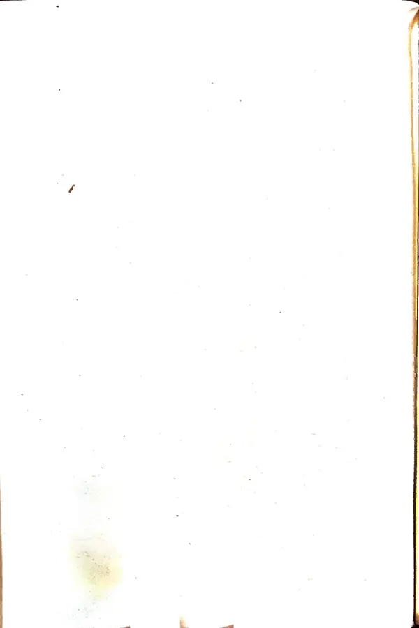 Эрнст Брагин - Дозорные западных рубежей - Страница № 311