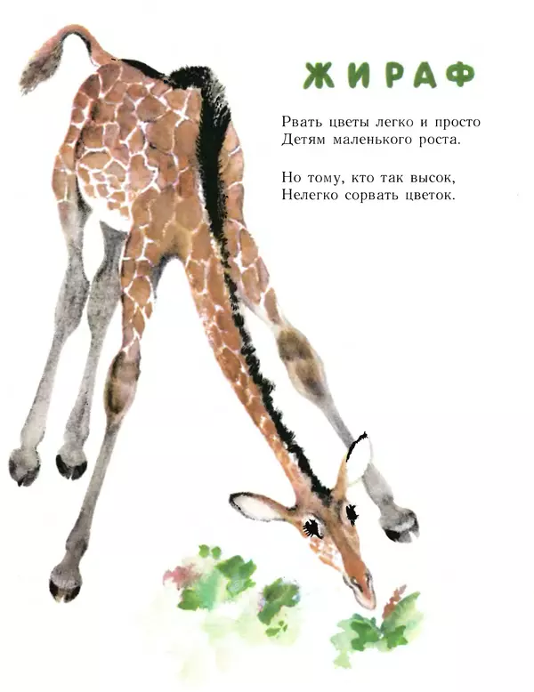 Евгений Чарушин - Детки в клетке - Страница № 10